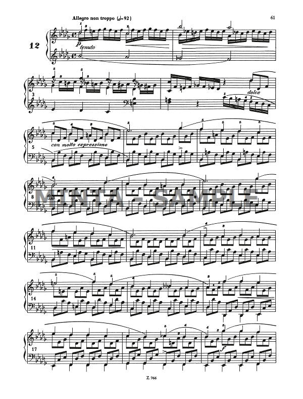 Liszt: 12 Etudes, Op. 6