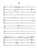 Boykan: Concerto for 13 Players
