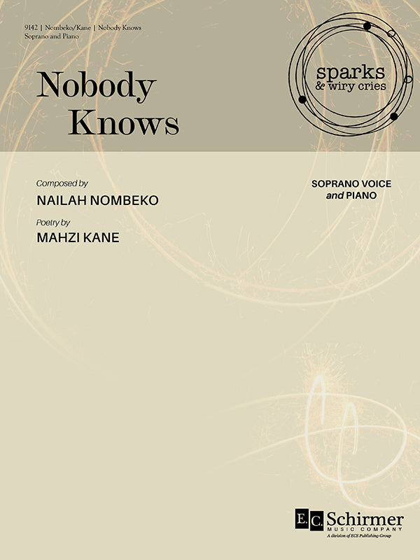 Nombeko: Nobody Knows