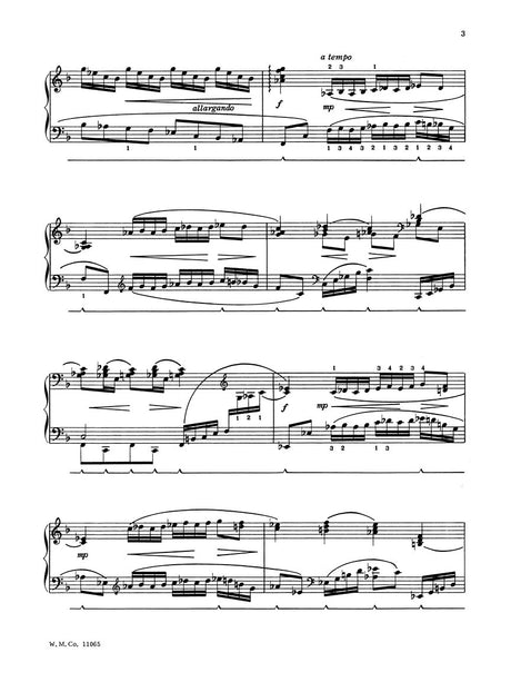 Austin: Sea Nocturne