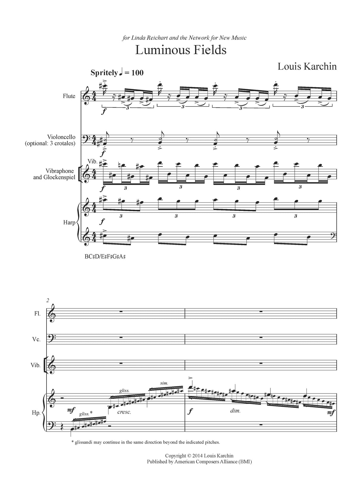 Karchin: Luminous Fields