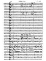 De Vocht: Woudgetover