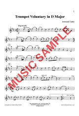 20 Sacred and Spiritual Solos (for violin, flute, or oboe with piano)