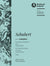 Schubert: Violin Concerto in D Major, D 345