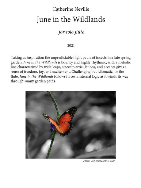 Neville: June in the Wildlands