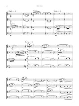 D. Flanagan: Water Lilies