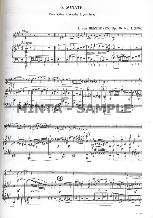 Beethoven: Violin Sonatas - Volume 2