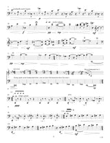 Flaherty: Trio for Cello & Live Processor