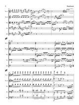 Montgomery: Starburst