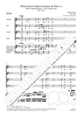 Haydn: Missa brevis Sancti Joannis de Deo, Hob. XXII:7
