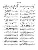 Chopin: Preludes