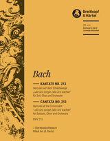 Bach: Lasst uns sorgen, lasst uns wachen, BWV 213