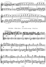 Flute Duets - Volume 2