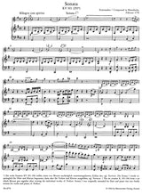 Mozart: Violin Sonatas - The Mannheim, Paris, Salzburg Sonatas