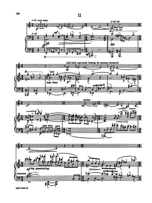 Wyner: Concert Duo