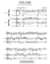 Mazzoli: Volume (Version for Steel Drum & Vibraphone)