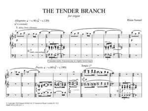 Samuel: The Tender Branch