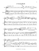 T. Briggs: Illuminations