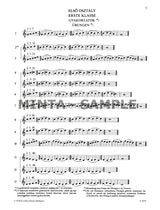Scale Tutor for Flute Volume 1