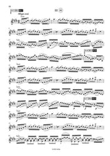 Bach: Violin Concerto in E Major, BWV 1042