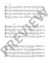 Vasks: The Fruit of Silence (Version for String Quartet)