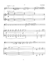 Blank: A Set of Opposites (Version for Viola & Piano)