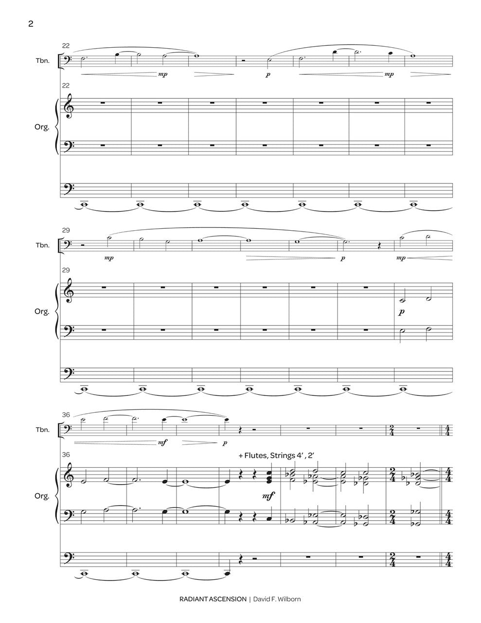 Wilborn: Radiant Ascension