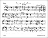 Bach: Schwingt freudig euch empor, BWV 36