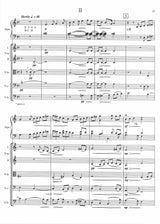 Van de Vate: Harp Concerto