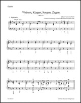 Bach: Weinen, Klagen, Sorgen, Zagen, BWV 12