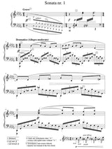 Kosenko: First Piano Sonata in B-flat Minor, Op. 13,