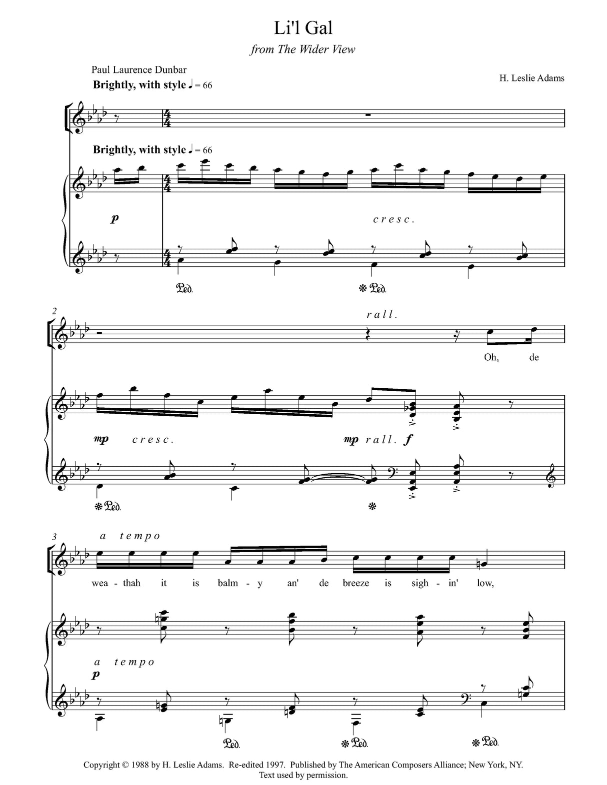 Adams: The Wider View