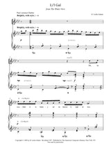 Adams: The Wider View