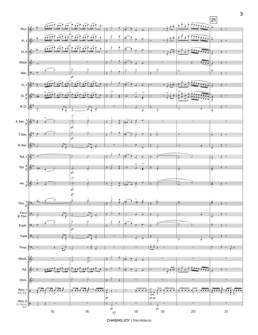 D. Adams: Chasing Joy