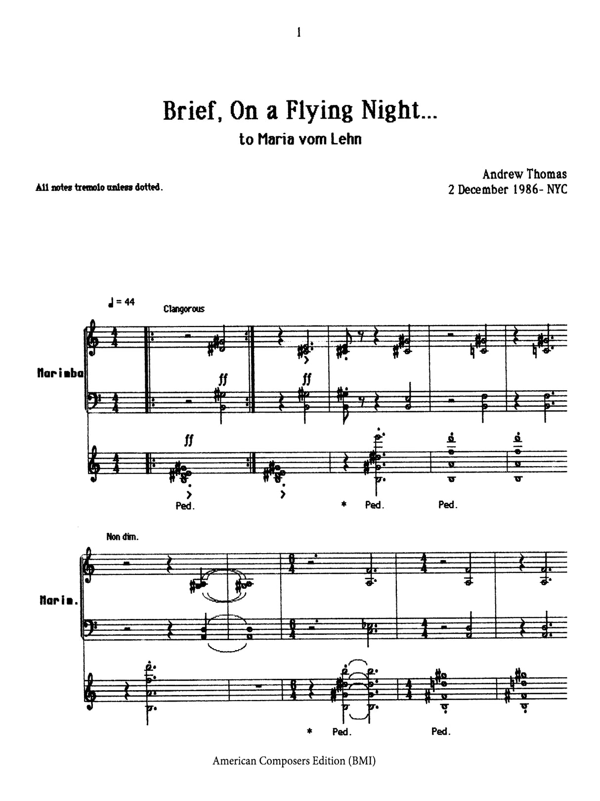 Thomas: Brief, on a Flying Night
