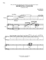 Schliecker-Rohwer: Morning Clouds