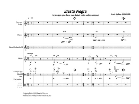 Nielson: Siesta Negra