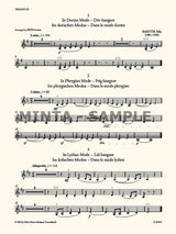 The Microcosm of String Ensemble Music - Volume 2 (Intermediate)