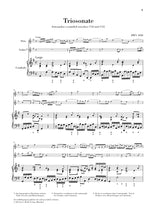 Bach: Trio Sonata for Flute, Violin and Continuo, BWV 1038