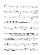 Dorman: Double Concerto