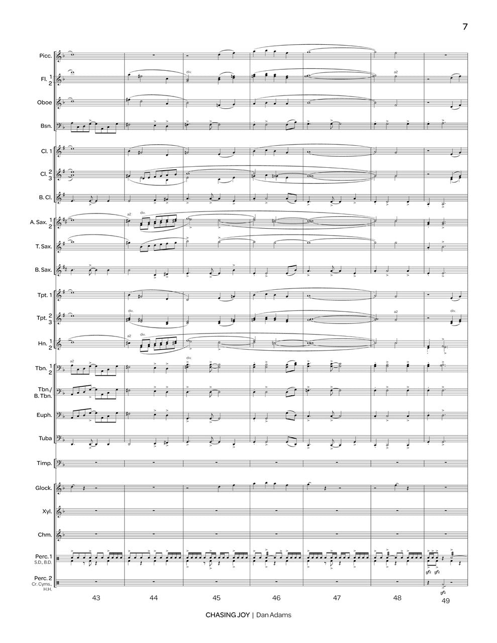 D. Adams: Chasing Joy