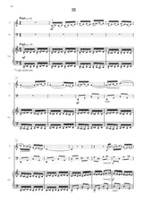 Van de Vate: Piano Trio (Version for Clarinet, Bassoon and Piano)