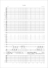 Neil: Clarinet Concerto