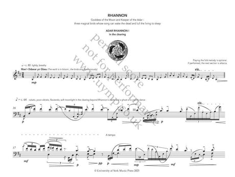 S. Harrison: Where She Has Always Been