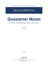 Reiprich: Gossamer Moon