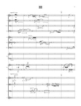 Boykan: Concerto for 13 Players