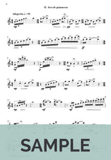 Brouwer: Sonata de Primavera