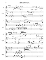 Siniakova: Gelidi riflessi