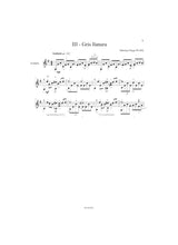 Pujol: Suite del Plata No. 5