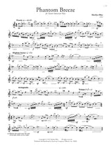 Flute Music of New York